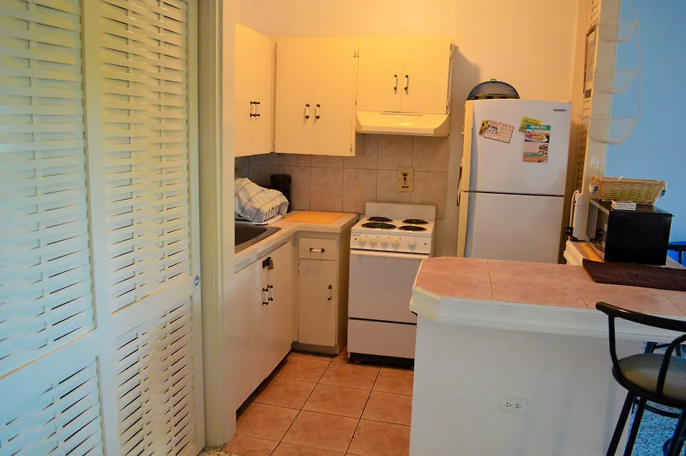 Sky Lounge Beach Studio Montego Bay Appartement